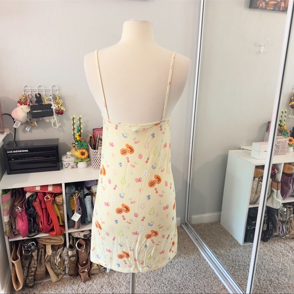 Djerf Avenue Fruit Dress - Picture 4 of 8